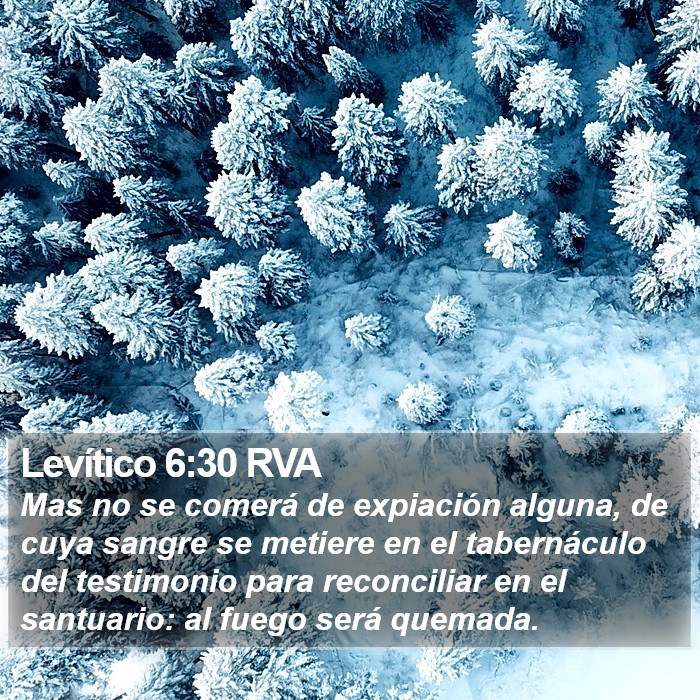 Levítico 6:30 RVA Bible Study