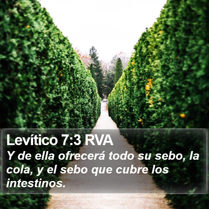 Levítico 7:3 RVA Bible Study