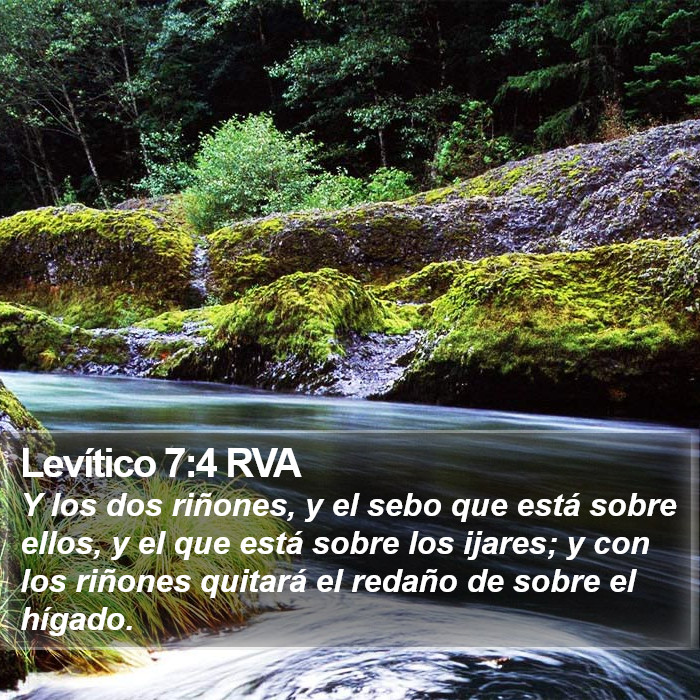 Levítico 7:4 RVA Bible Study