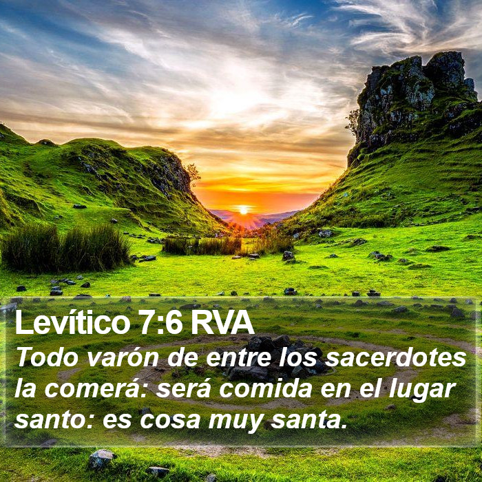 Levítico 7:6 RVA Bible Study