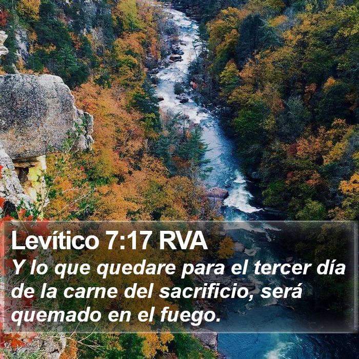 Levítico 7:17 RVA Bible Study