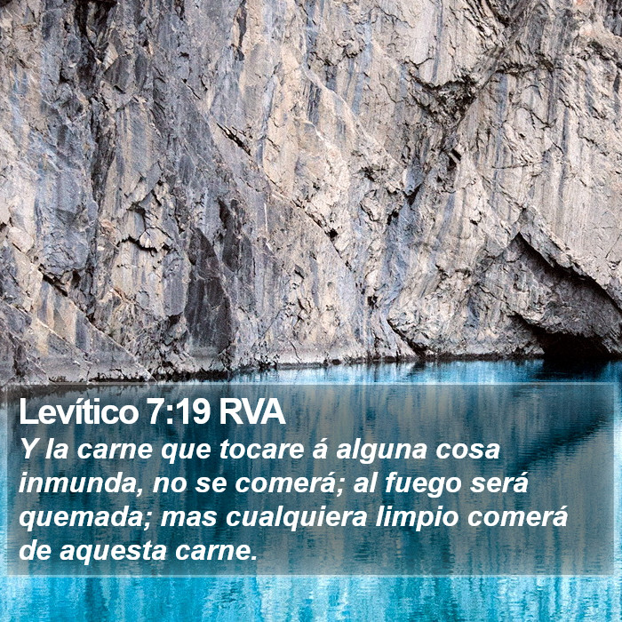 Levítico 7:19 RVA Bible Study