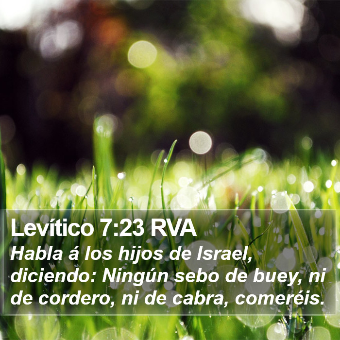 Levítico 7:23 RVA Bible Study