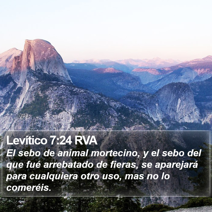 Levítico 7:24 RVA Bible Study