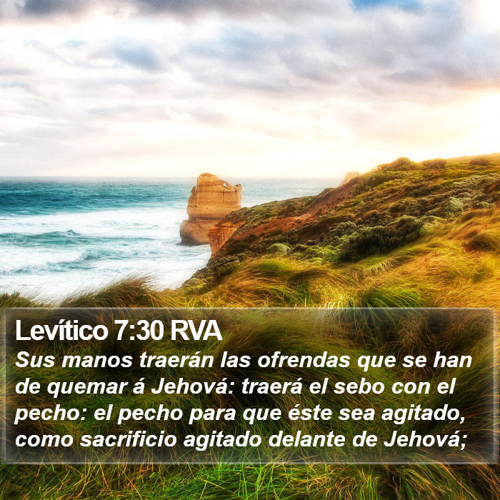 Levítico 7:30 RVA Bible Study