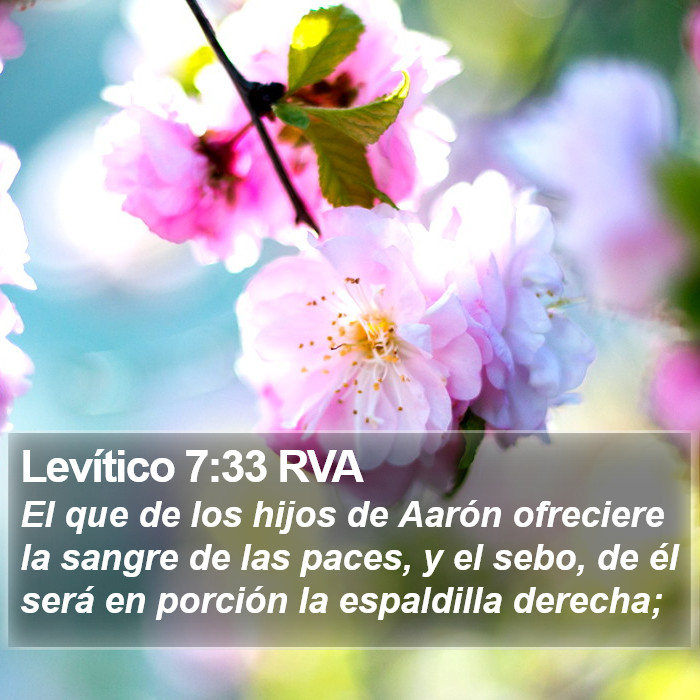 Levítico 7:33 RVA Bible Study