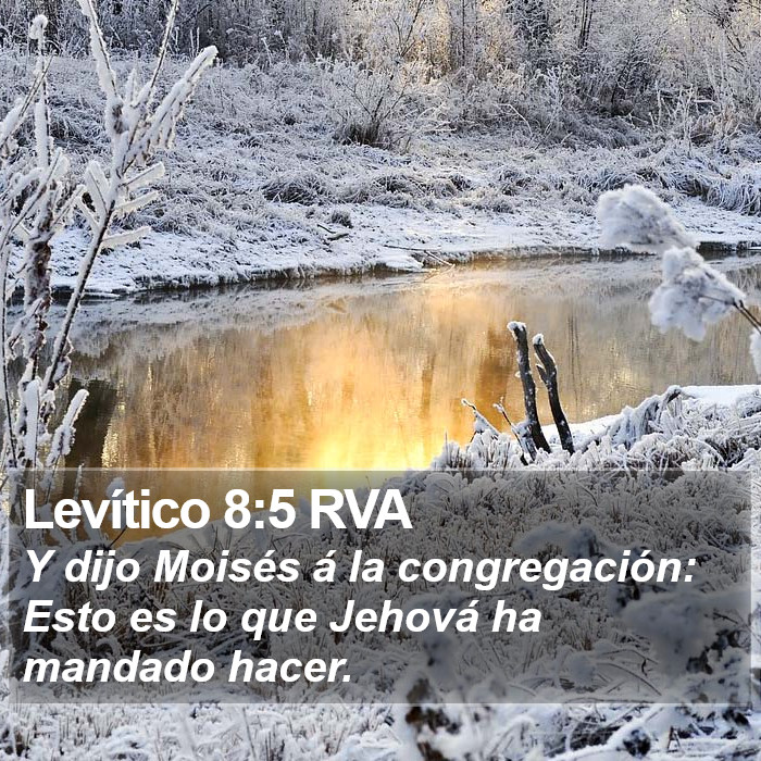 Levítico 8:5 RVA Bible Study