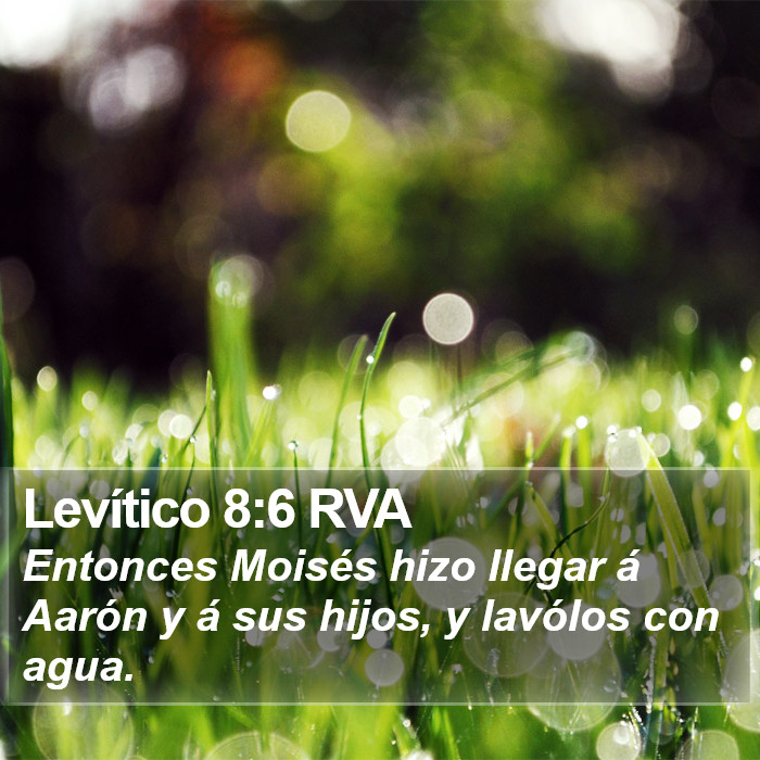 Levítico 8:6 RVA Bible Study