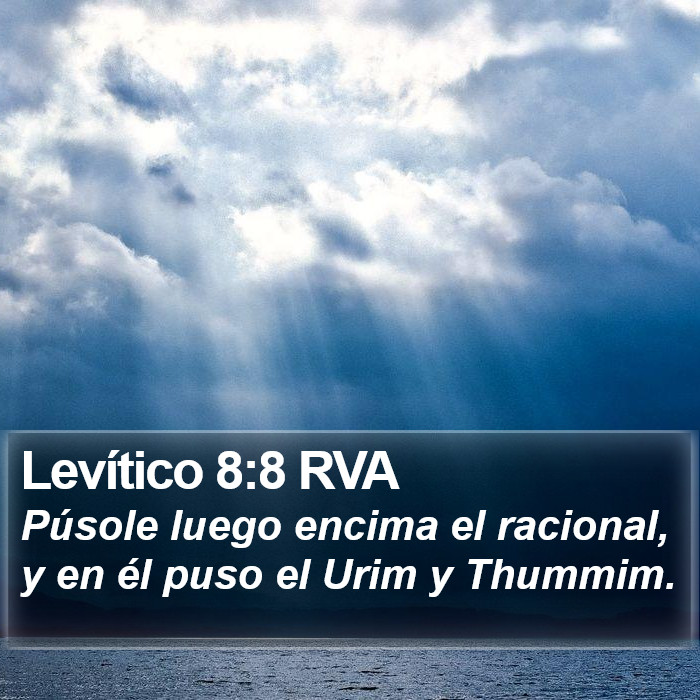 Levítico 8:8 RVA Bible Study