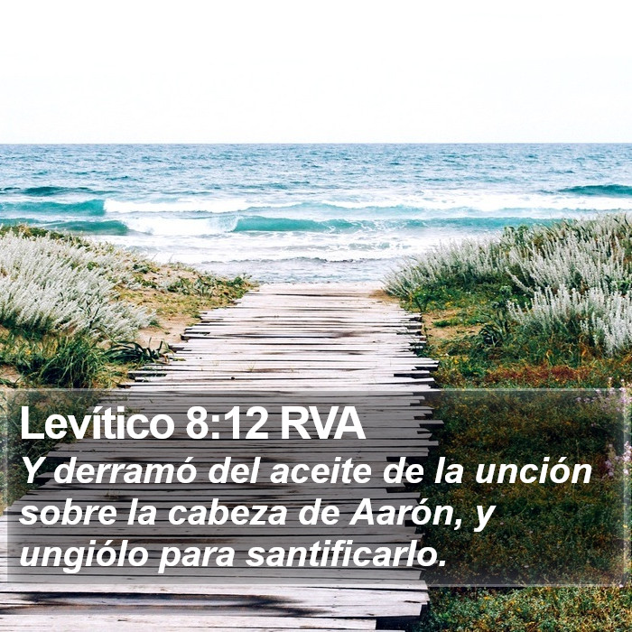 Levítico 8:12 RVA Bible Study