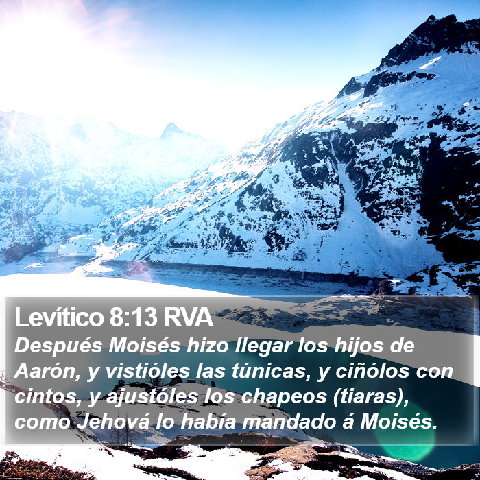 Levítico 8:13 RVA Bible Study