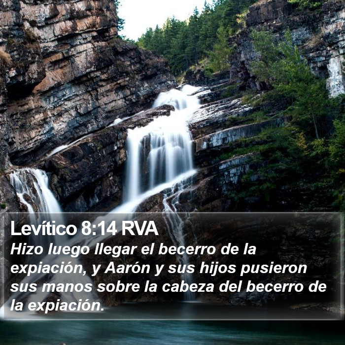 Levítico 8:14 RVA Bible Study