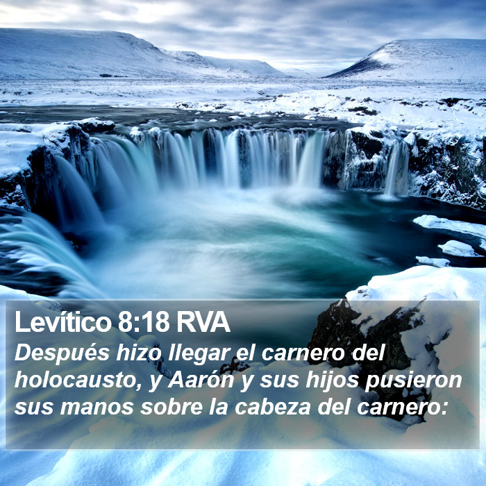 Levítico 8:18 RVA Bible Study