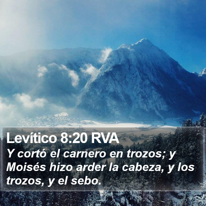 Levítico 8:20 RVA Bible Study