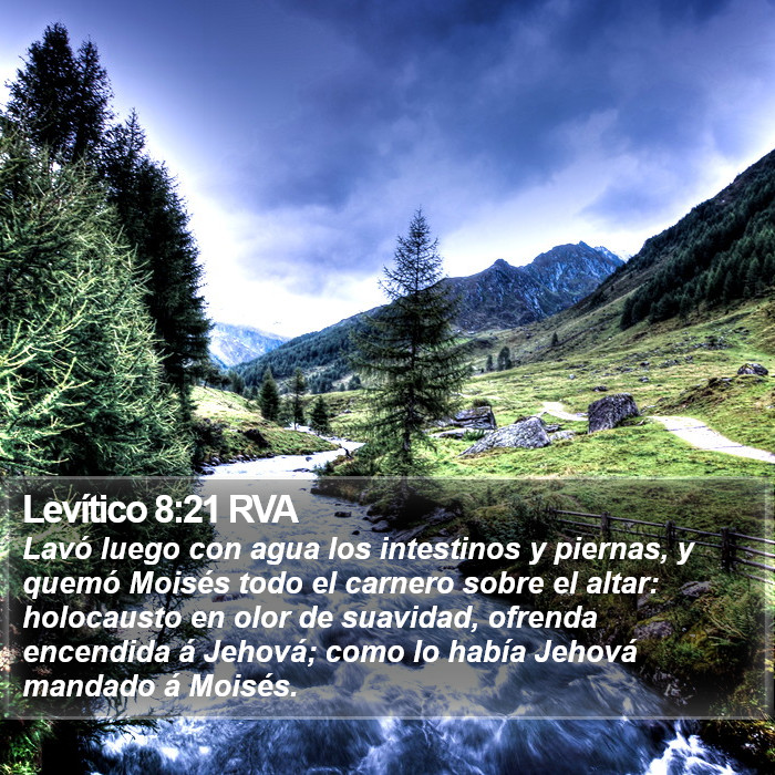 Levítico 8:21 RVA Bible Study