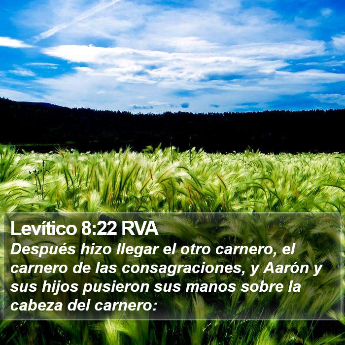 Levítico 8:22 RVA Bible Study