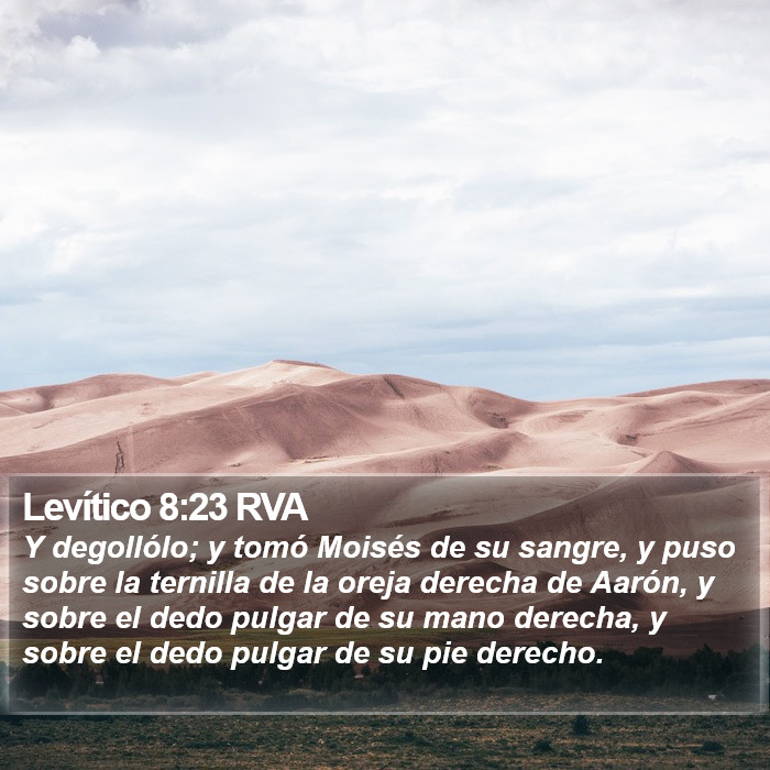 Levítico 8:23 RVA Bible Study