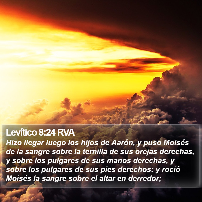 Levítico 8:24 RVA Bible Study