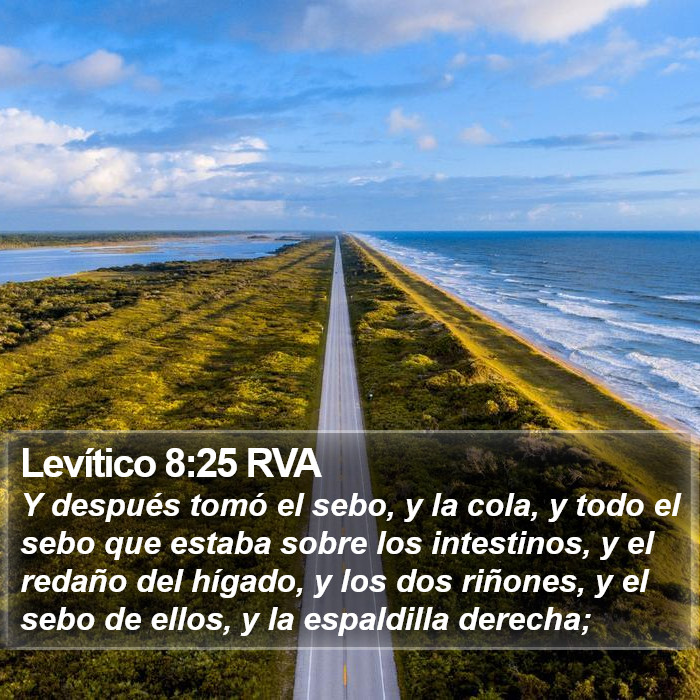 Levítico 8:25 RVA Bible Study