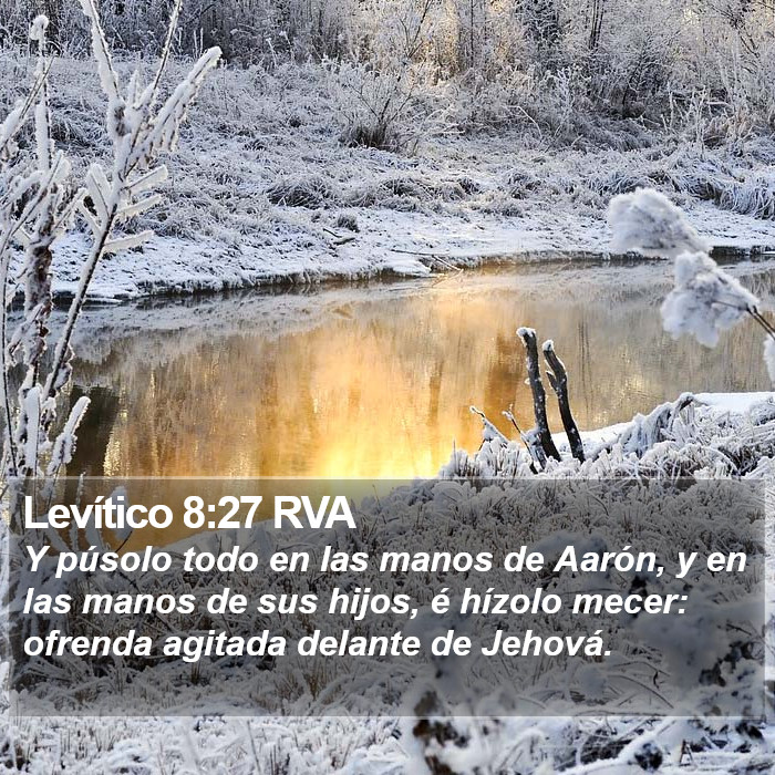 Levítico 8:27 RVA Bible Study