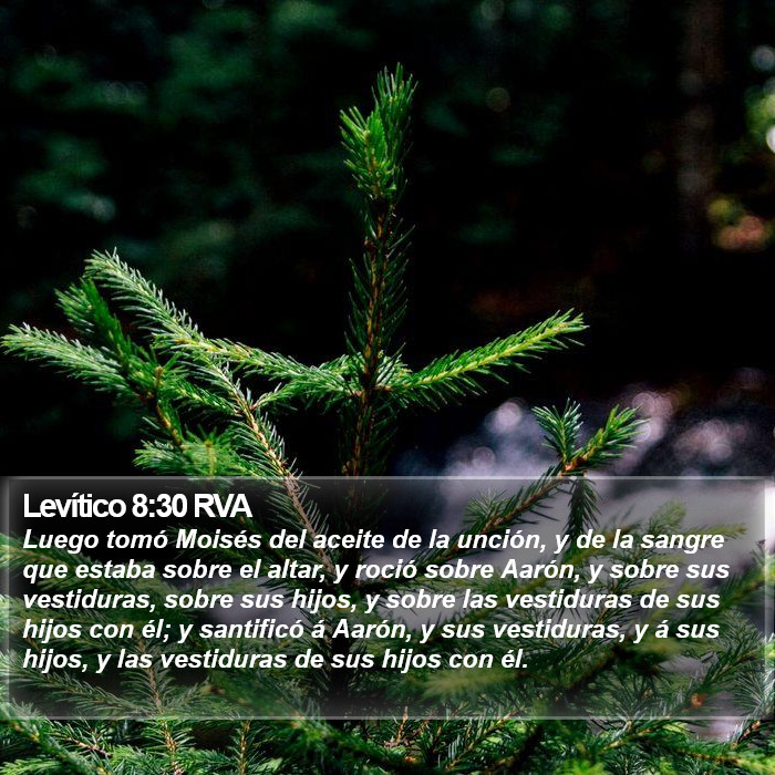 Levítico 8:30 RVA Bible Study