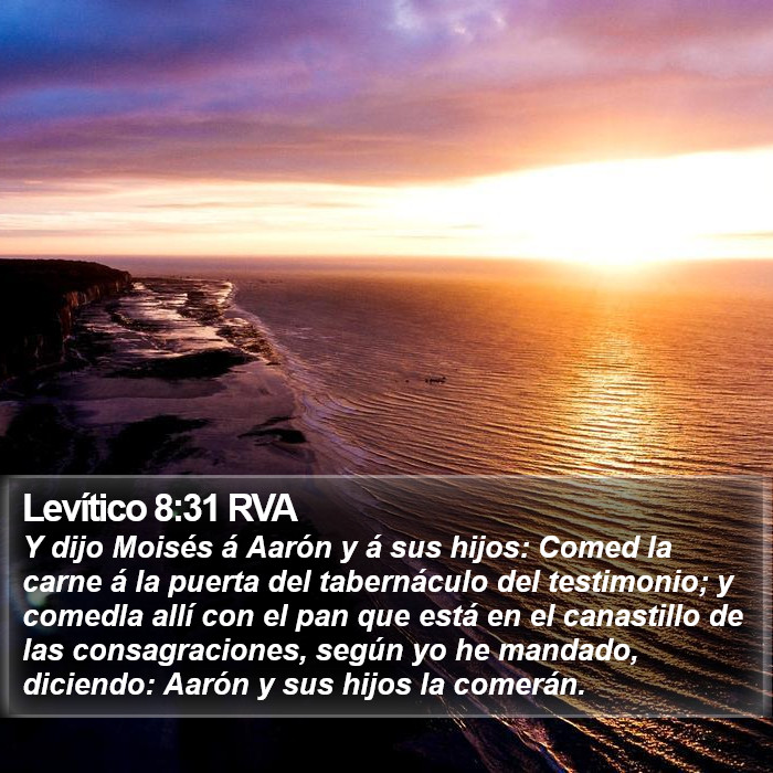 Levítico 8:31 RVA Bible Study