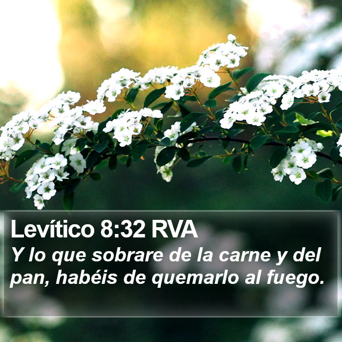 Levítico 8:32 RVA Bible Study