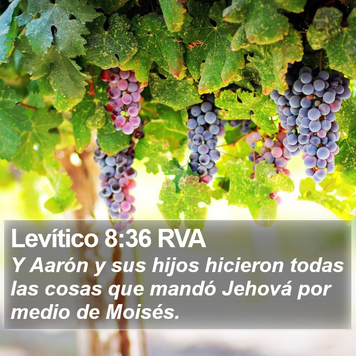 Levítico 8:36 RVA Bible Study