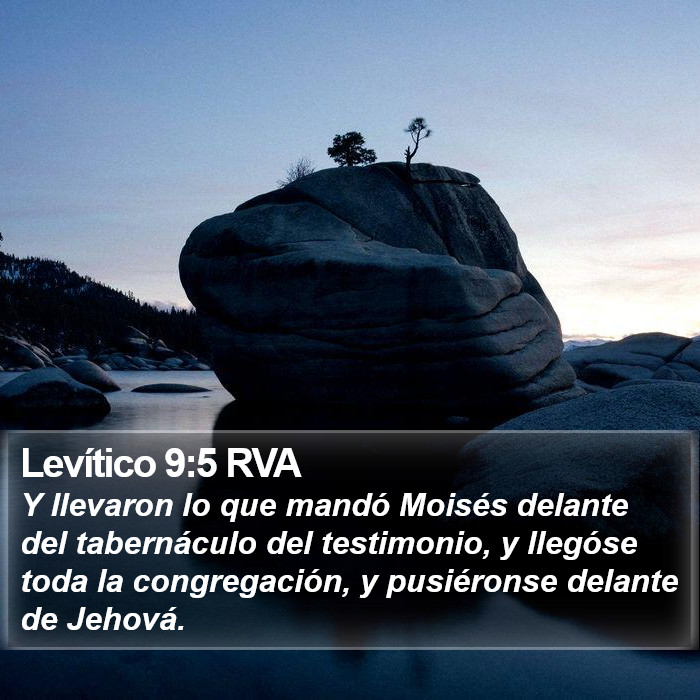 Levítico 9:5 RVA Bible Study