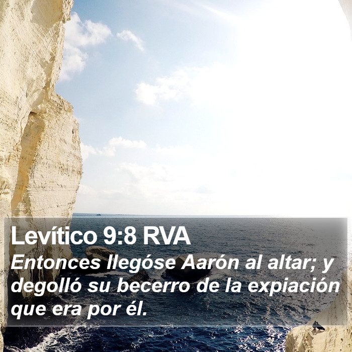 Levítico 9:8 RVA Bible Study