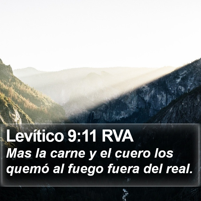 Levítico 9:11 RVA Bible Study