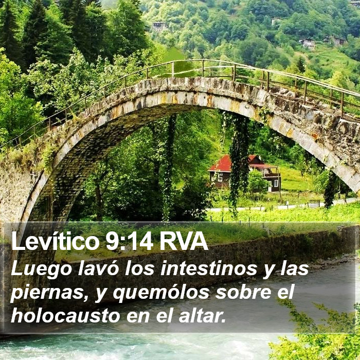 Levítico 9:14 RVA Bible Study