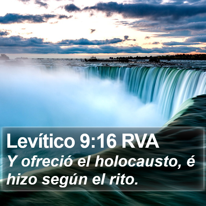 Levítico 9:16 RVA Bible Study