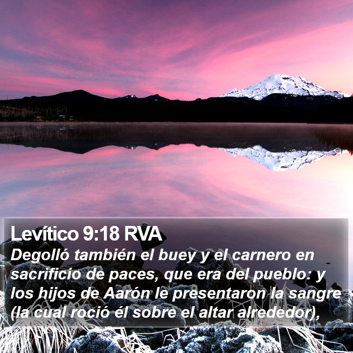 Levítico 9:18 RVA Bible Study