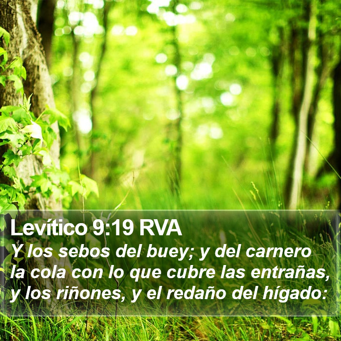 Levítico 9:19 RVA Bible Study