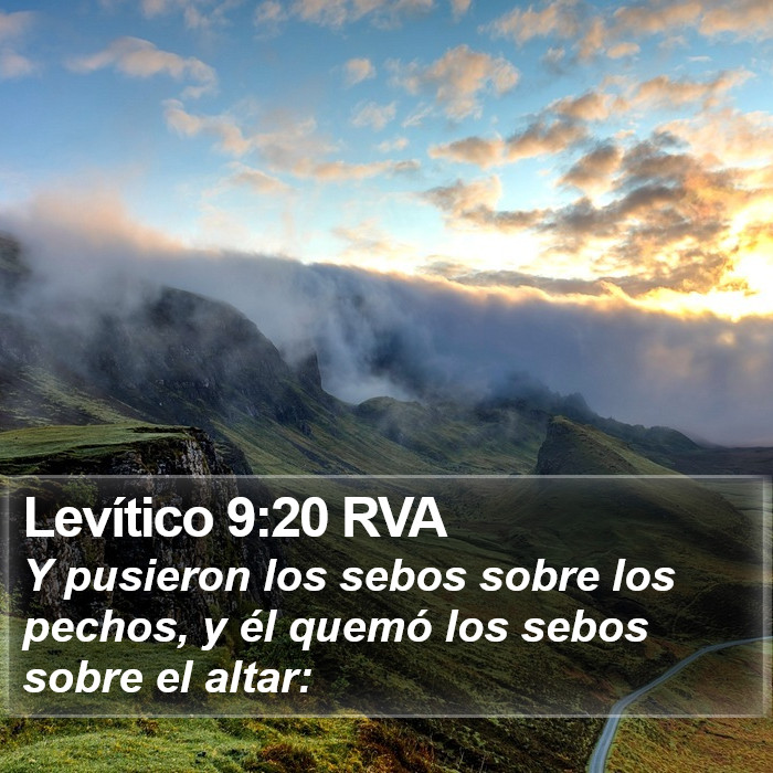 Levítico 9:20 RVA Bible Study