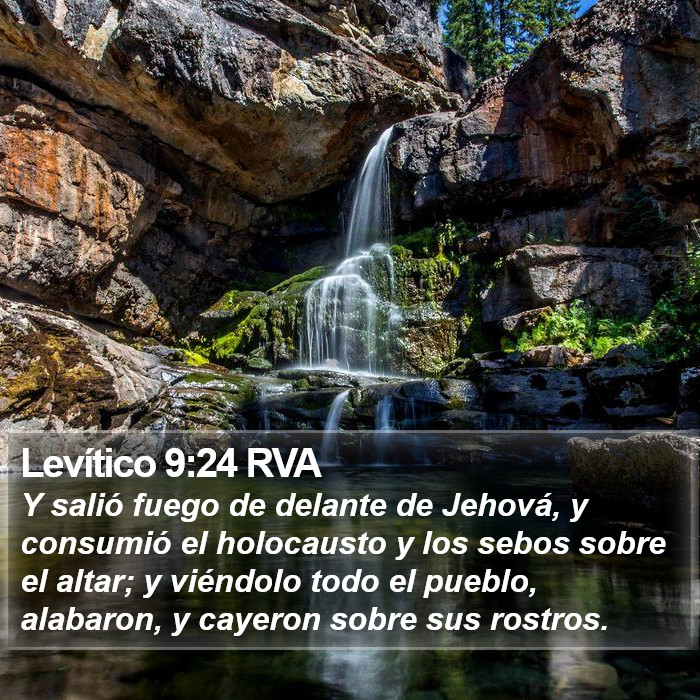 Levítico 9:24 RVA Bible Study