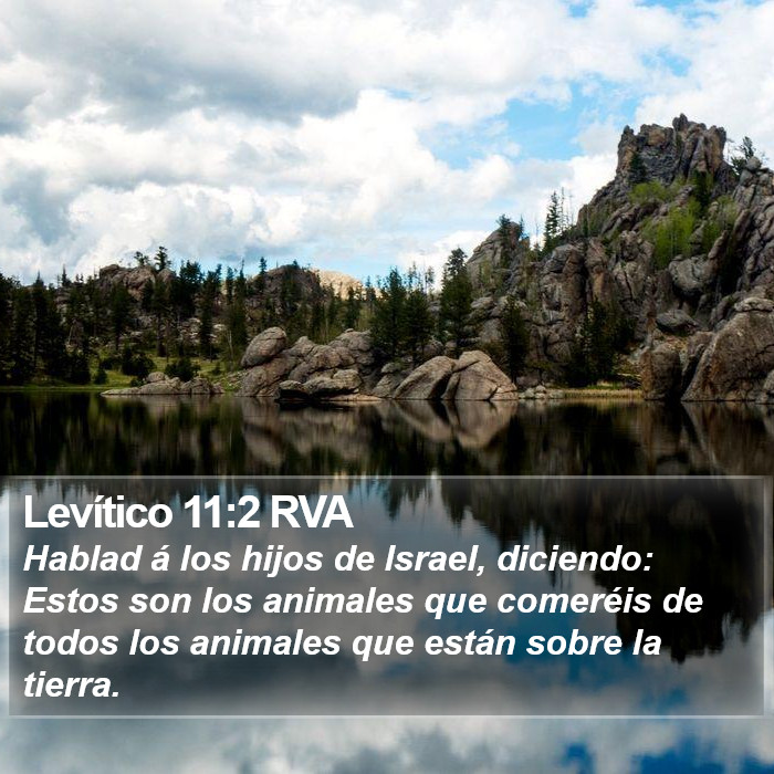 Levítico 11:2 RVA Bible Study