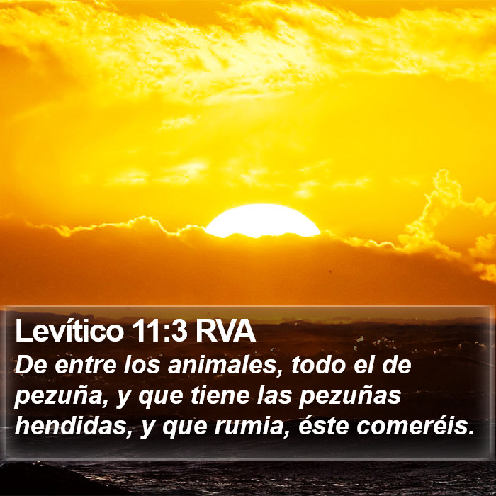 Levítico 11:3 RVA Bible Study