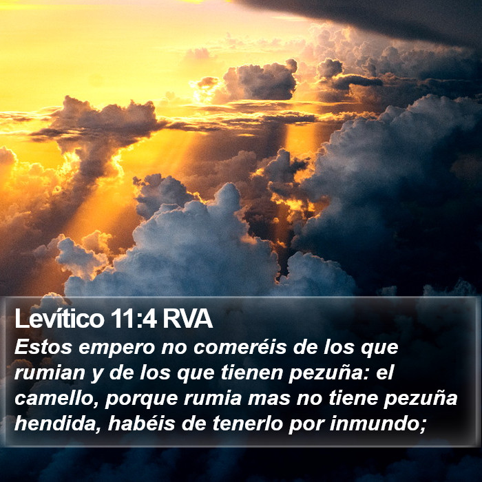 Levítico 11:4 RVA Bible Study