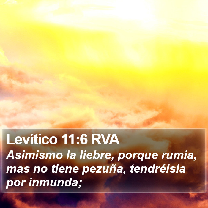 Levítico 11:6 RVA Bible Study