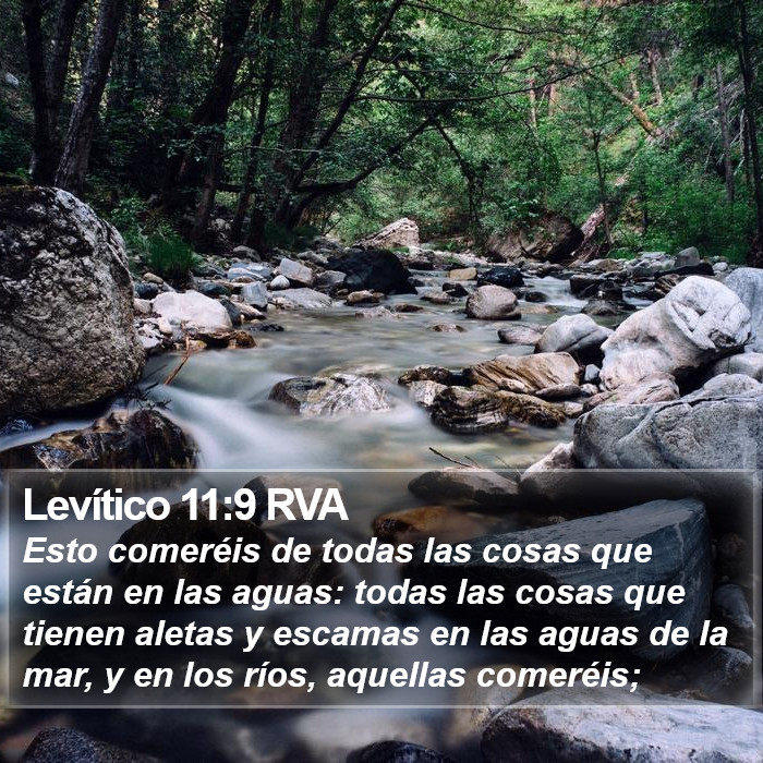 Levítico 11:9 RVA Bible Study