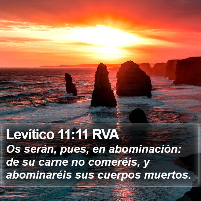 Levítico 11:11 RVA Bible Study