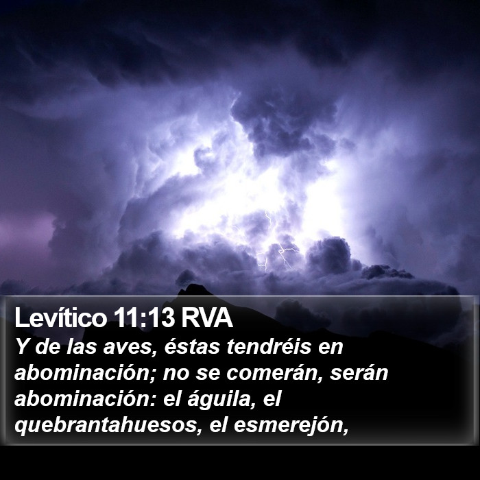 Levítico 11:13 RVA Bible Study