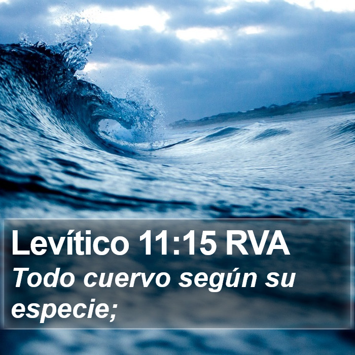 Levítico 11:15 RVA Bible Study