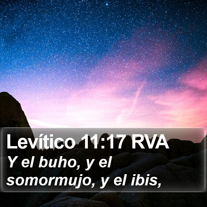 Levítico 11:17 RVA Bible Study