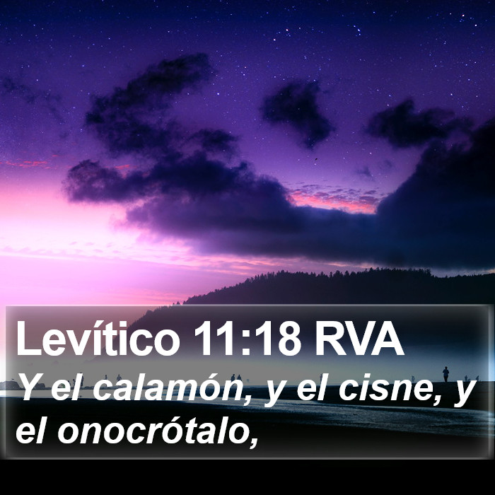 Levítico 11:18 RVA Bible Study