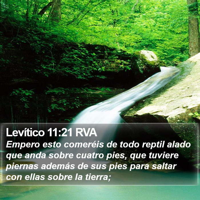 Levítico 11:21 RVA Bible Study