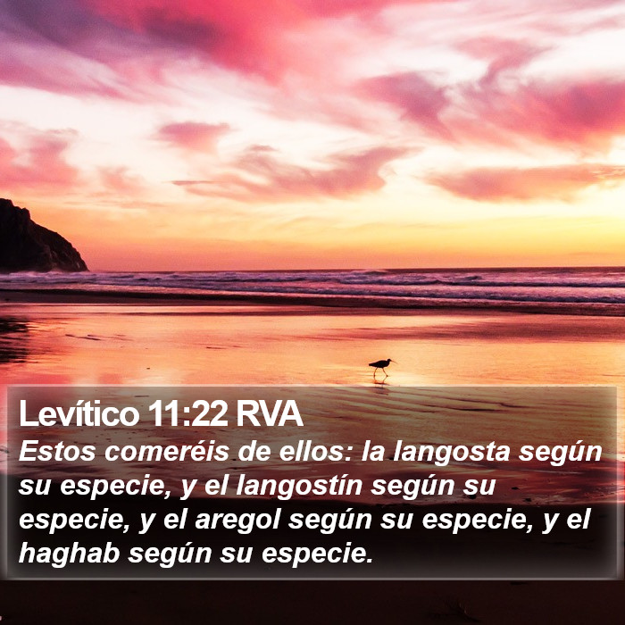 Levítico 11:22 RVA Bible Study