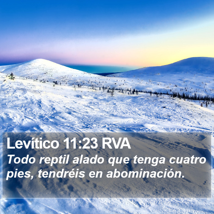 Levítico 11:23 RVA Bible Study